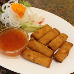 Vegetarische Frühlingsrollen